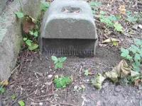 Брандт (Ревитцер) София
