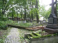 Браун Эмилия, урожд. Шоу