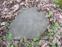 Верле Николай