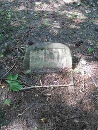 Дроздовский В.В.