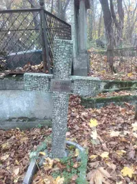 Лаан Г.Ю.