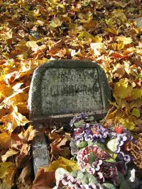 Остринская Аврора