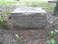 Перрен (Гольман) Каролина