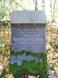 Розенфельд-Фрейберг, Николай Яковлевич