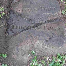 Тодд Томас
