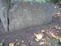 Флавицкая Катарина