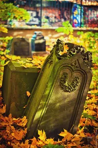 Фризе Александр