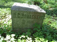 Элиасберг П.С.