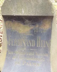 Гейн Фердинанд